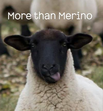 F23 More than Merino
